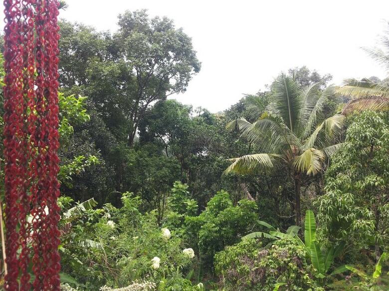 Hotel Athens Cottage