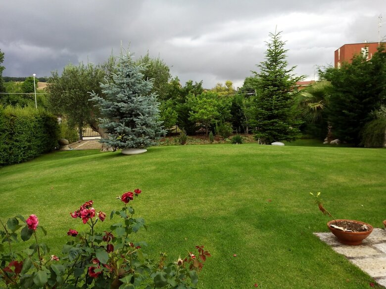 Bed & Breakfast I Gelsomini