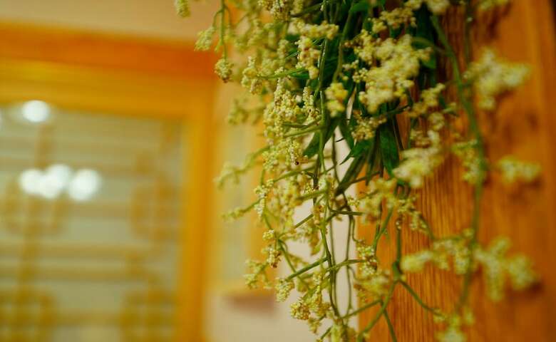 Hotel Hanok House