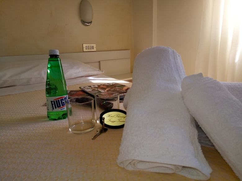 Hotel Fleming