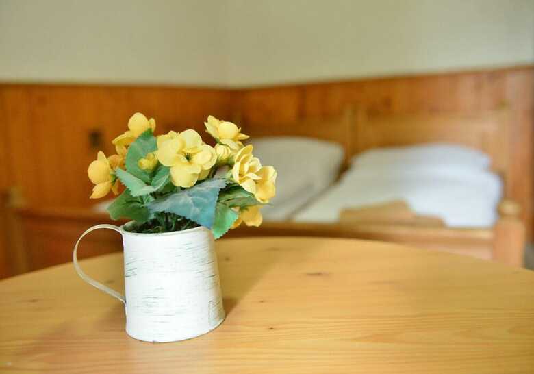 Bed & Breakfast Penzion U Hrocha