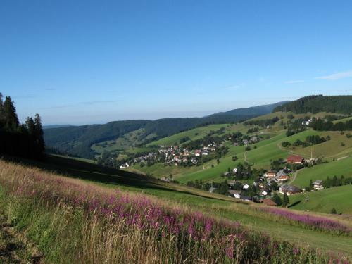 Esche