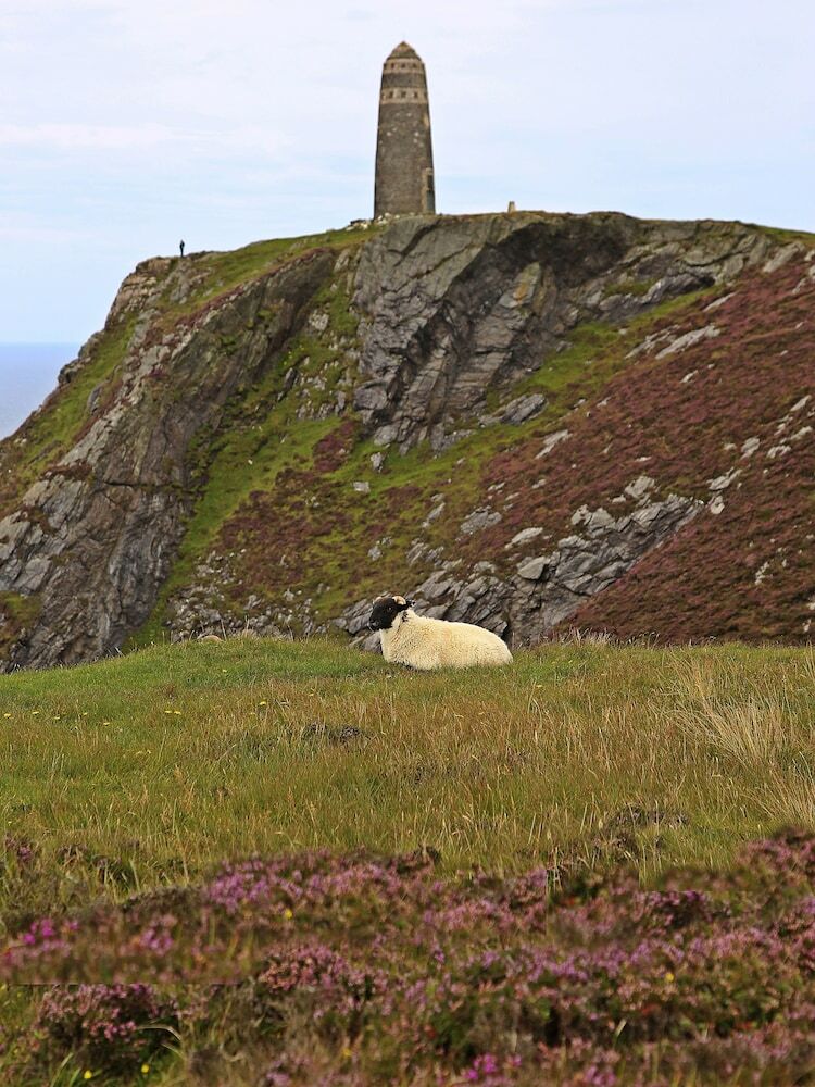 The Island Bear Bed And Breakfast