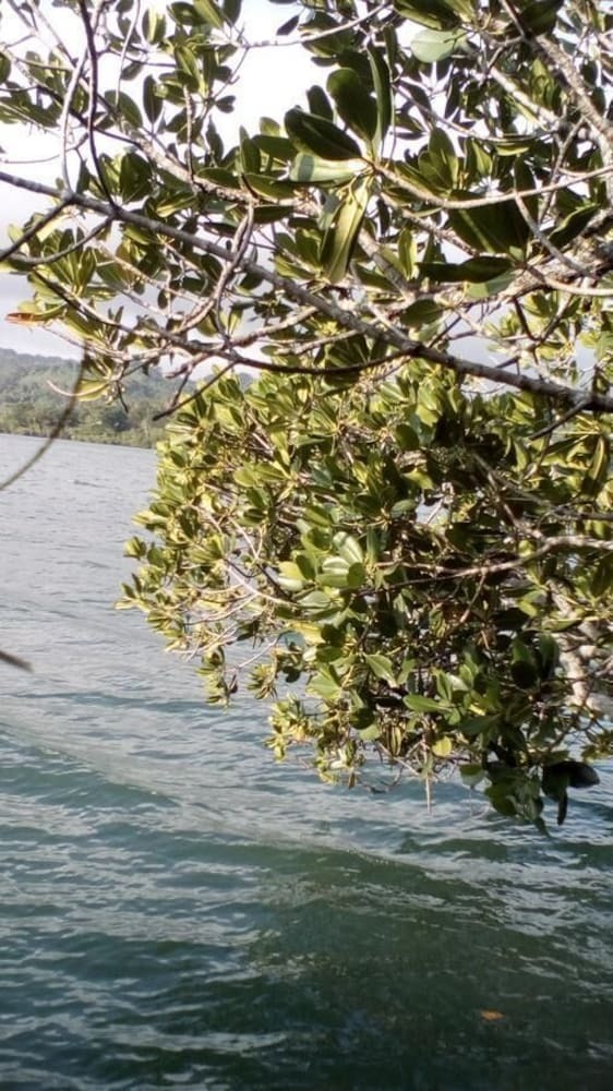 Agroturismo Mahun On The Lagoon Bungalows