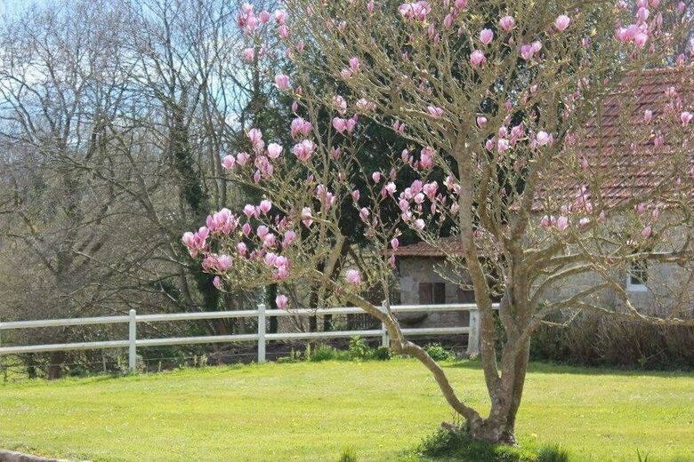 Bed & Breakfast Chambres D?h�te Manoir De Kerliviry
