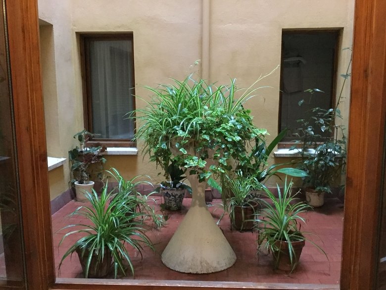 Pension Hostal Caf� Espa�ol