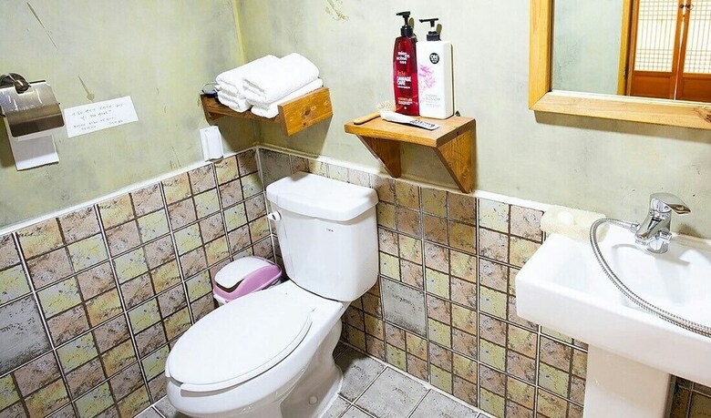 Hotel Borisu Guesthouse