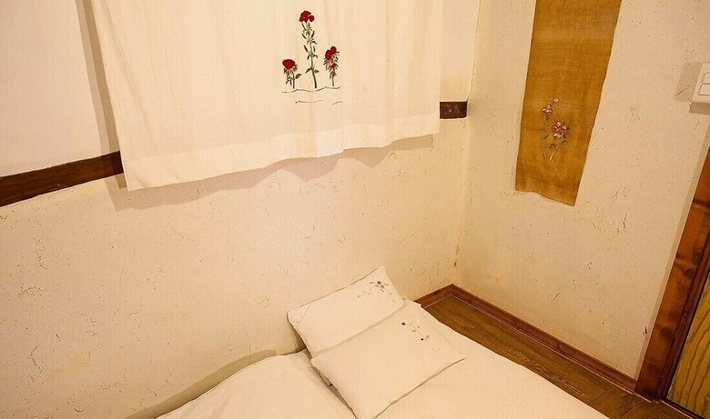 Hotel Borisu Guesthouse