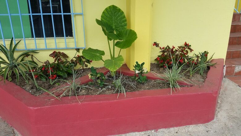 Hotel The Vieques Guesthouse