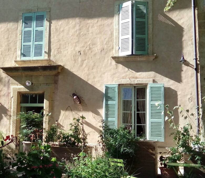 B&B Acanthus