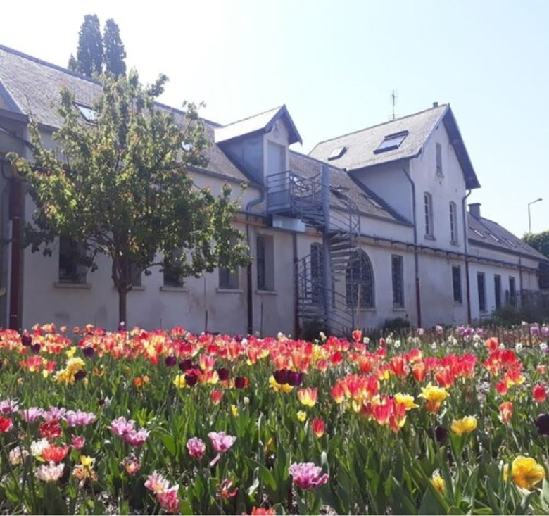 Posada Hostel La Maison Montreau