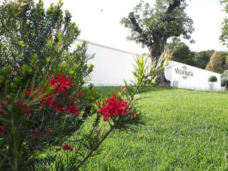 Hotel Villa Natia