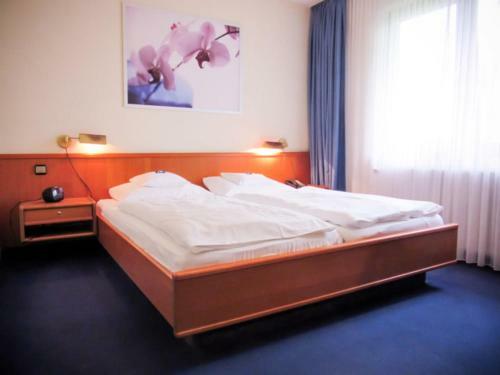 Hostal Hotel Zur Flora