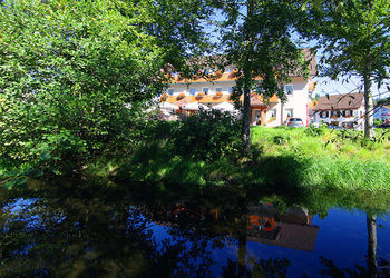Hotel Schw�rer