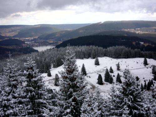 Apartamento Feldbergblick