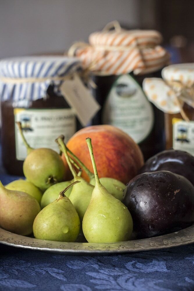 Agroturismo Masseria Citulo - Il Pino Grande