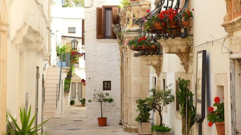 Bed  Breakfast La Rosa Dei Trulli