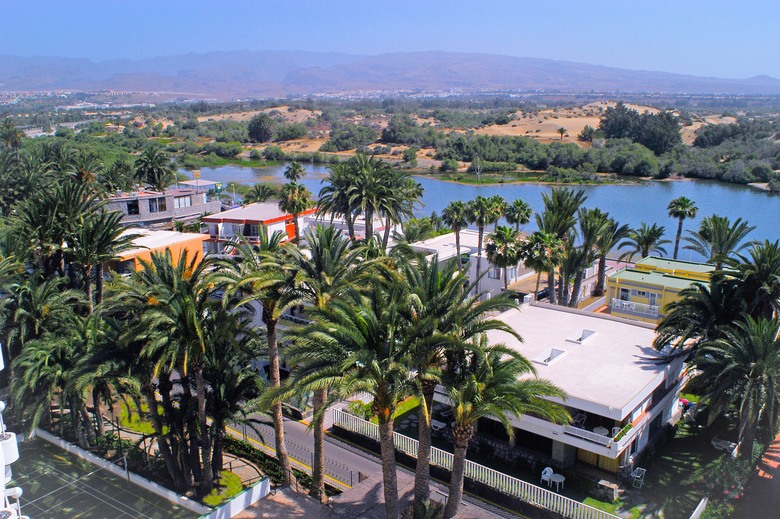 Apartamento Oasisdunas Maspalomas