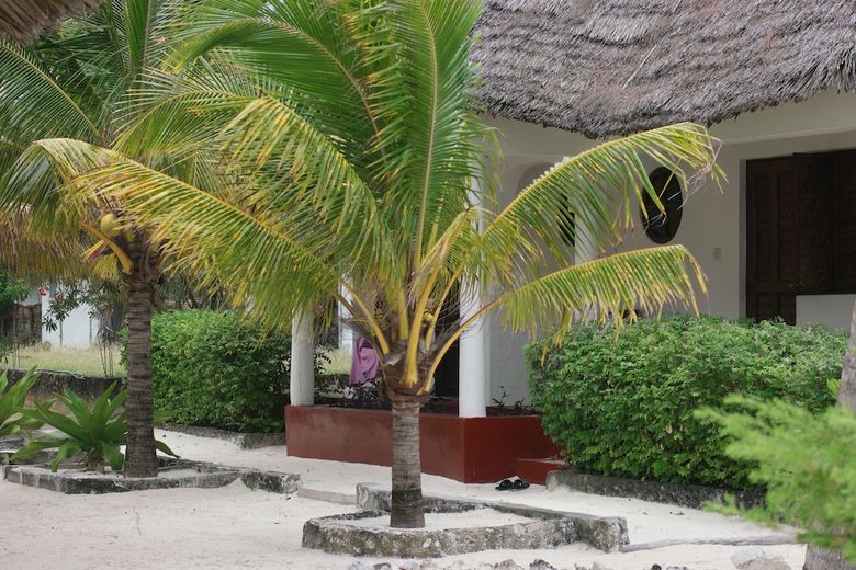 Bed & Breakfast Oasis Beach Hotel