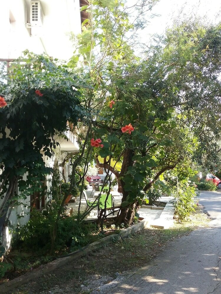Hotel Rodia