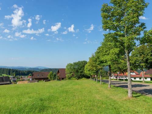Urlaub Im Schwarzwald