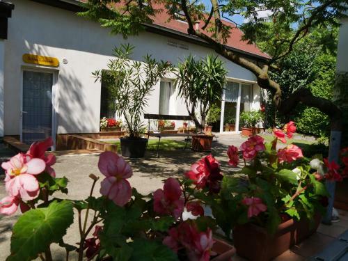Hostal Pension Haus Friederike