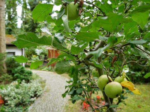 Hostal Pension Haus Friederike