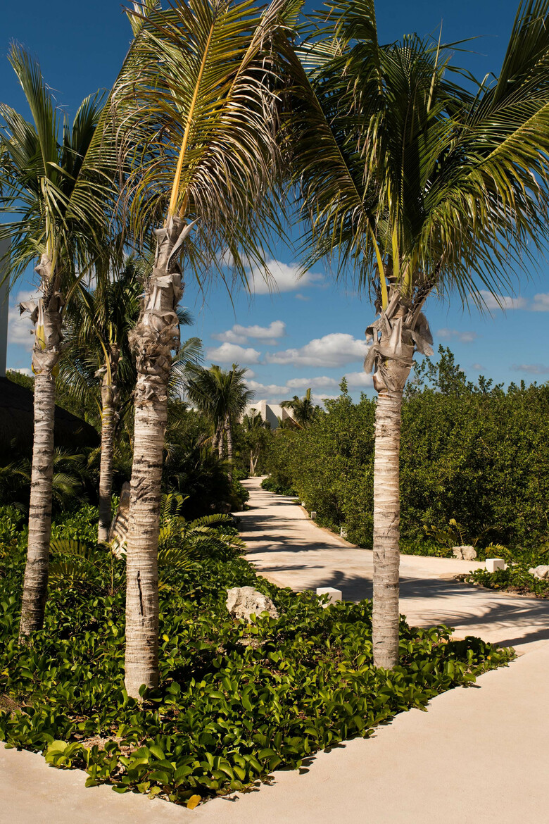 Apartamento Chabl� Maroma