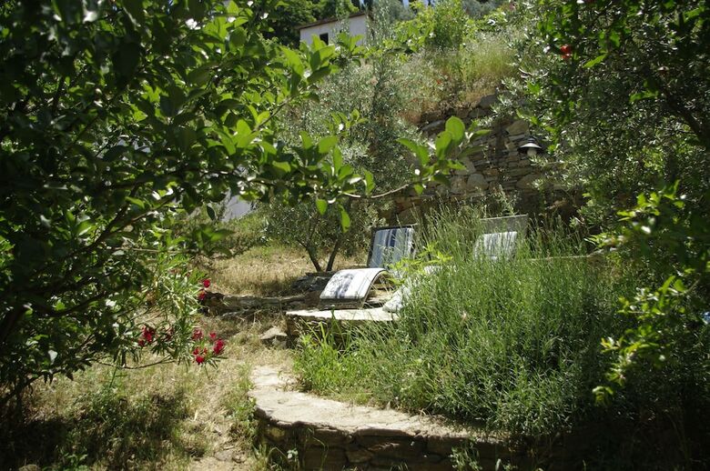 Hotel Terrace Houses Sirince - Fig, Olive And Grapevine