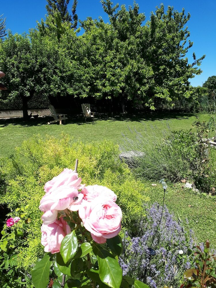 Bed & Breakfast Les Plumes