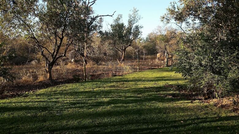Posada Call Of The Wild Lodge