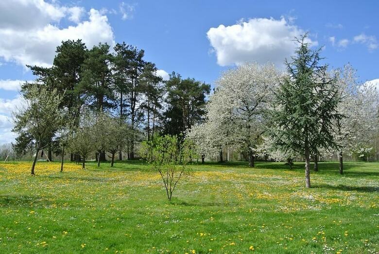 Bed & Breakfast Le Moulin De Vrin