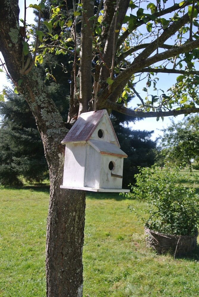 Bed & Breakfast Le Moulin De Vrin