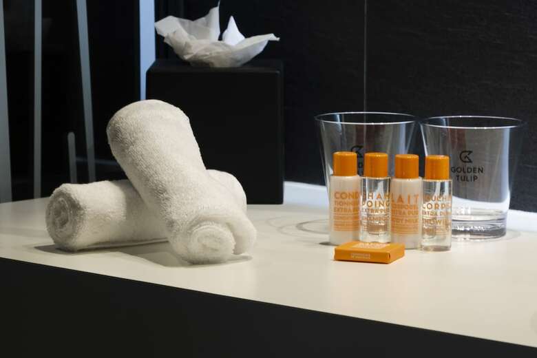 Hotel H�tel Golden Tulip Montpellier Centre St Roch