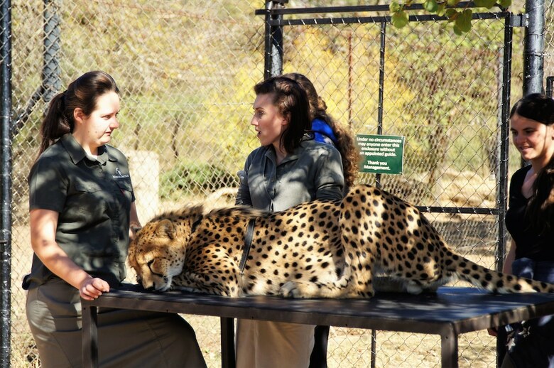 Villa Lowveld Escape