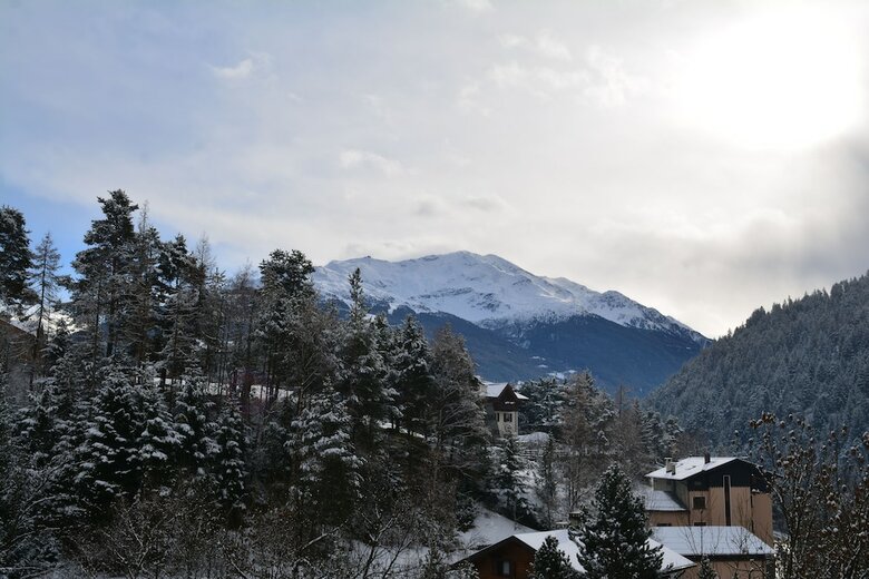 Hotel Albergo Alpina