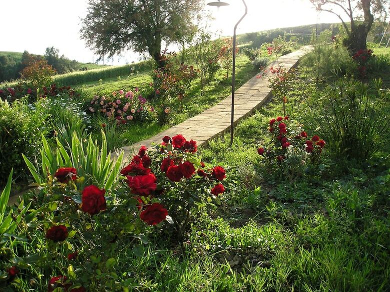 Agroturismo Agriturismo Pelagaccio