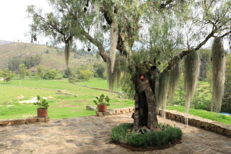 Bed & Breakfast Hotel La Casona De Suanoga