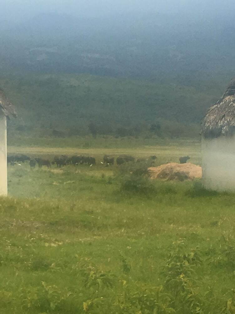 Hotel Momella Wildlife Lodge