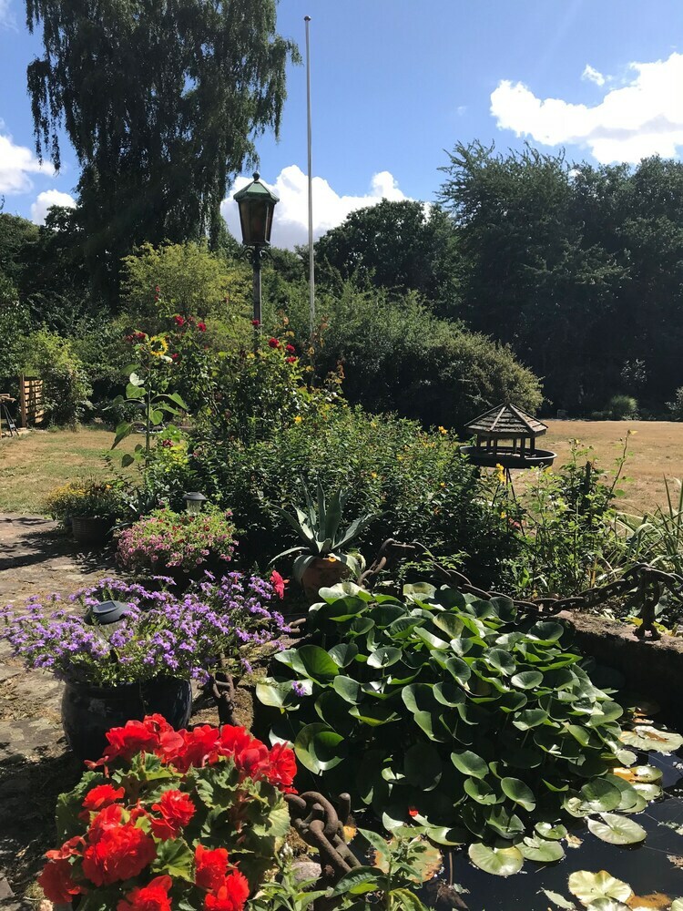 Bed & Breakfast Skovkrogen