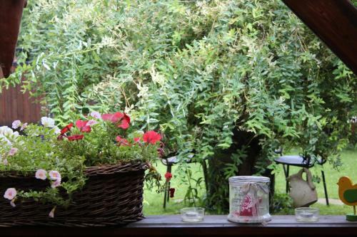Apartamento Walnu�hof