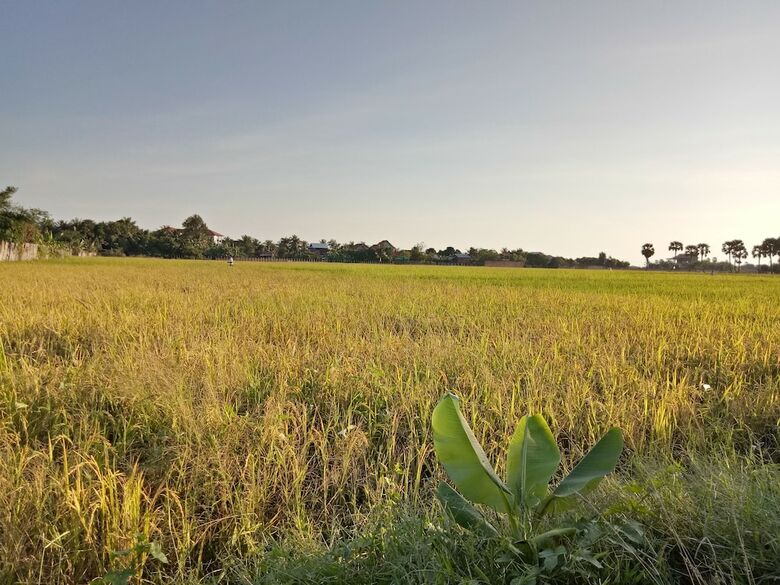 Hotel The Green Home
