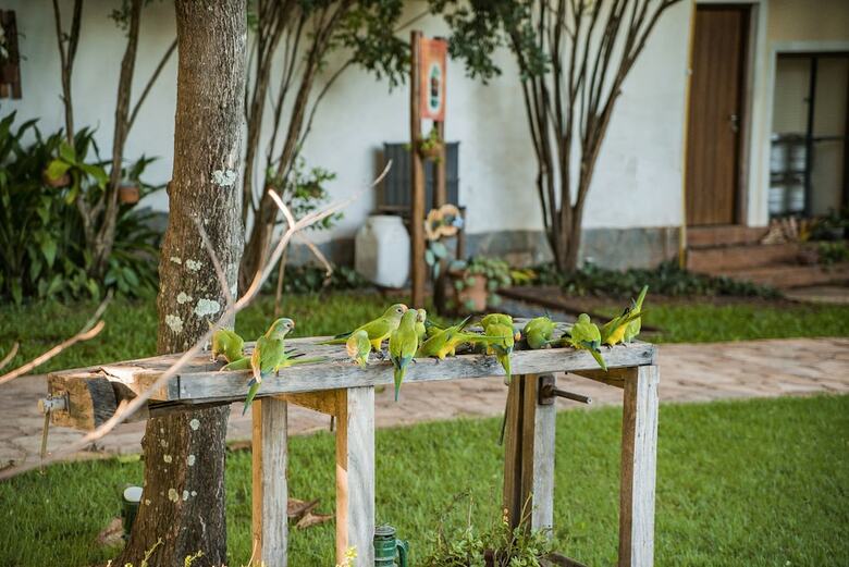 Posada Pousada Gira Sol