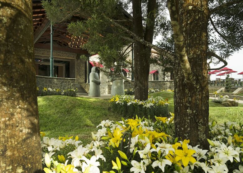 Apartamento The Tamara Kodai