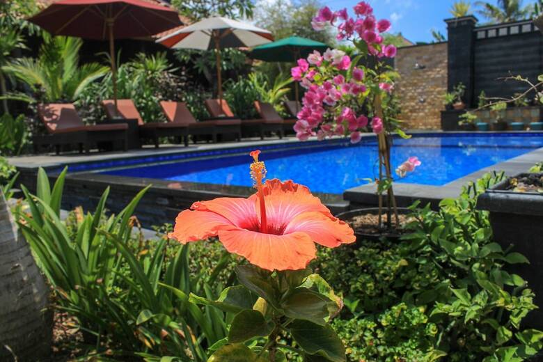 Bed & Breakfast Pattri Garden Lembongan