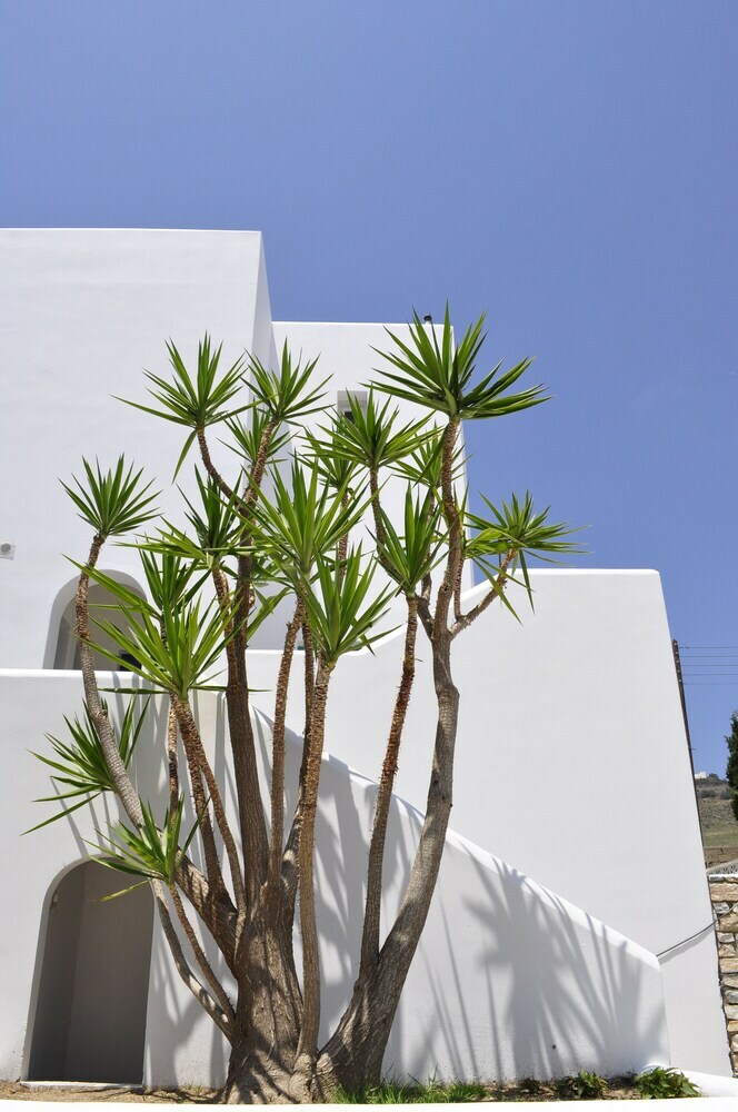 Aloni Hotel