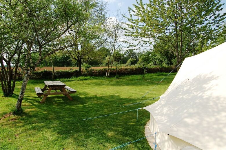 Camping La For�t-de-tess�