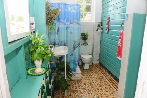 Hostal Coconut Paradise Lodge