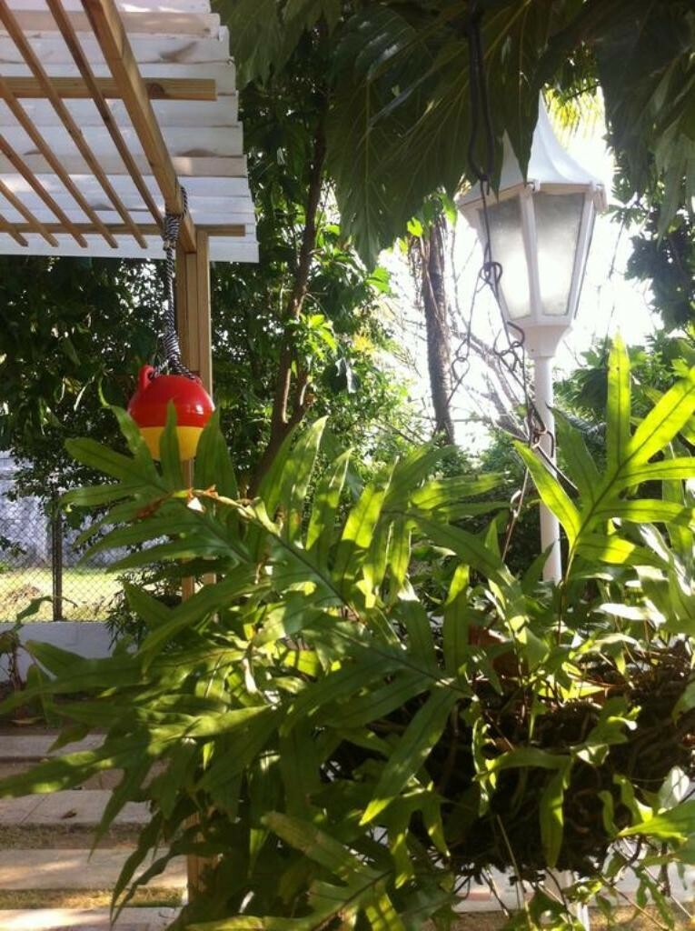 Hostal Casaluna