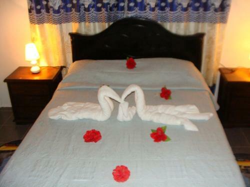Hostal Posada Spring View